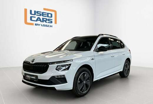 Skoda Monte-Carlo+DSG+LED+P.Assisted+P.Park&Go