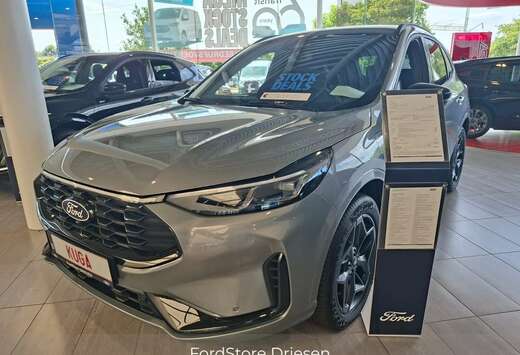 Ford Blue Cruise Edition PHEV AUT