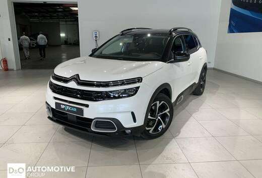 Citroen shine automatic