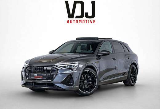 Audi GARANTIE|95 kWh 55 QUATTRO|2X S-LINE|BANG&OLUFSE ...