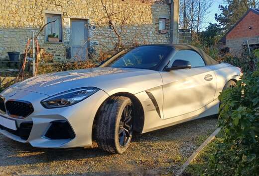 BMW Z4 2.0i sDrive20i (EU6AP)