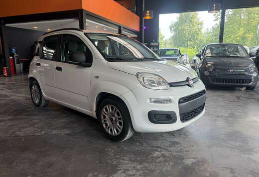 Fiat Panda 1.2i Lounge/12 mois de garantie