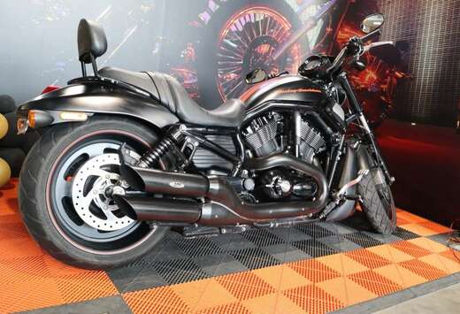 Cruiser