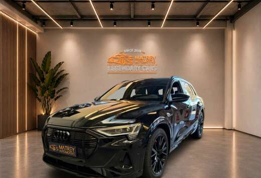 Audi Model 55 Matrix+pano+headup+sport