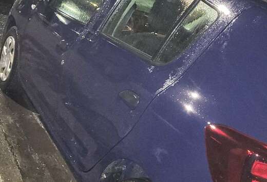 Dacia 1.0i SCe Access (EU6.2)