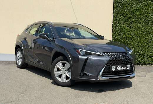 Lexus Leder Zetelverwarming Camera Apple Carplay Gara ...