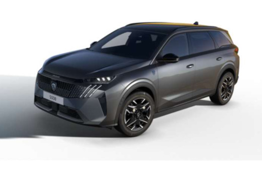 Peugeot GT/ZETEL VW/ELECT KLEP/NAVI GT