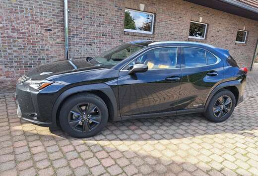 Lexus UX 250h Business Edition