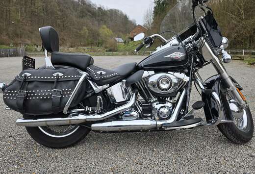 Softail classique   103