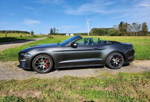 Ford Mustang Convertible 2.3 EcoBoost (EU6.2)