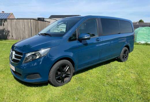 Mercedes-Benz Lichte Vracht - Dubbele Cabine - Nieuwe ...