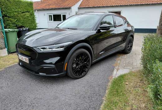 Ford PREMIUM btw voertuig