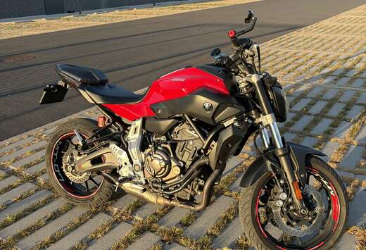 Akrapovic titanium