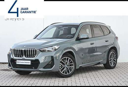 BMW xDrive25e
