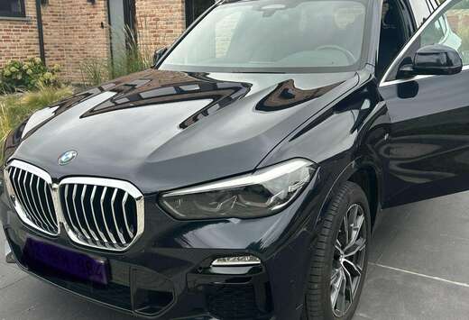 BMW X5 2.0 dA xDrive25 AdBlue (EU6AP)