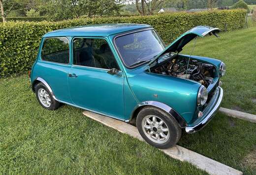 Rover 1.3 carbu seaway