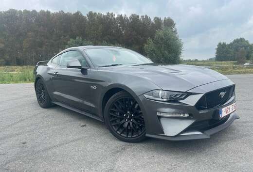 Ford Fastback 5.0 Ti-VCT V8 Aut. GT