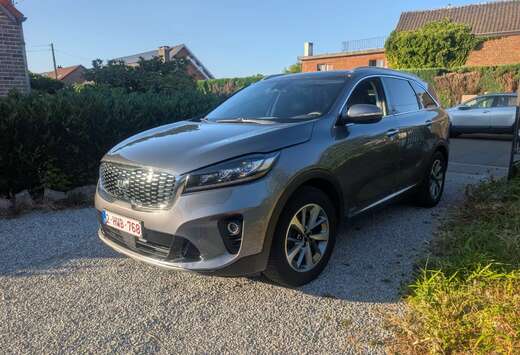 Kia 2.2 CRDi AWD Platinium 7pl. ISG (EU6d-T)