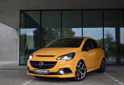 Opel Leder