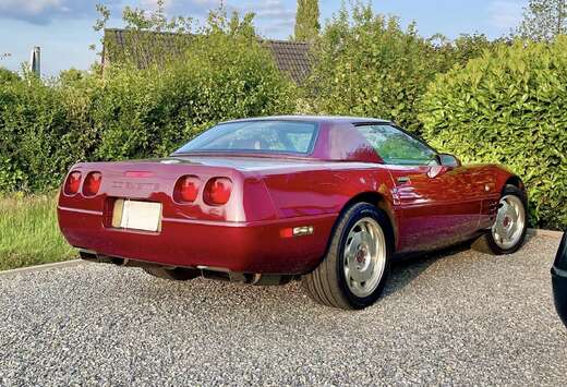 Corvette 40TH ANNIVERSARY  COMING SOON