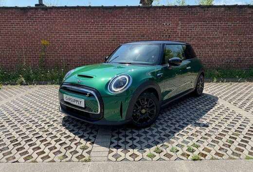 MINI 100% elektrisch - British racing Green - Apple C ...