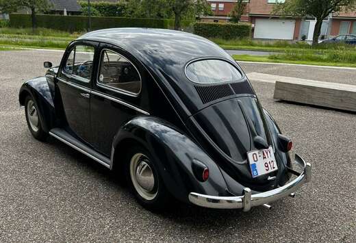 Volkswagen 1956 oval beetle