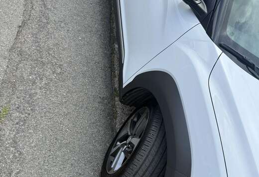 Hyundai Executive
