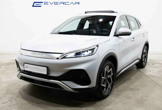 BYD Design ***FULL FULL OPTIONS***