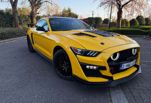 Ford 5.0 Ti-VCT V8 GT