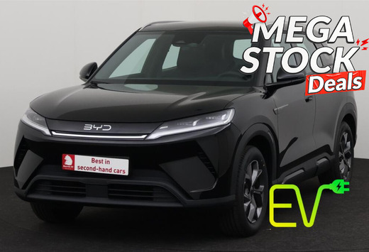 BYD ACTIVE 45 kWh + A/T + CARPLAY + LEDER + CAMERA +  ...