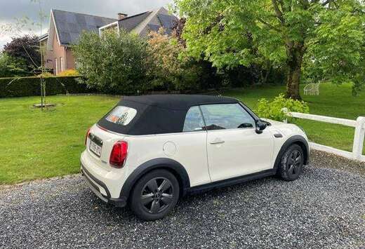 MINI 21DL