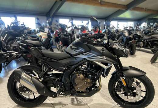 R625 GRIS