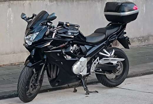 Suzuki laser