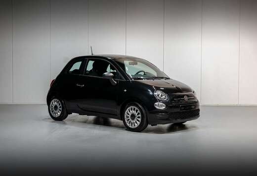 Fiat Fiat 500 Hybrid / Navi