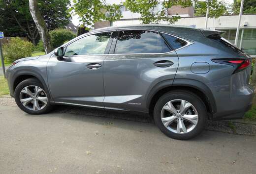 Lexus NX 300h Executive-Line