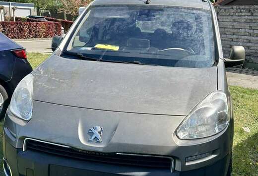 Peugeot 1.6 HDi