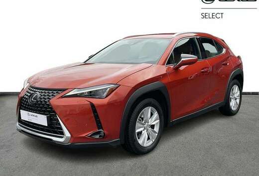 Lexus Comfort Line 184pk/carplay/camera