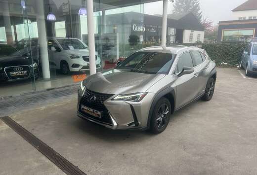 Lexus Edition