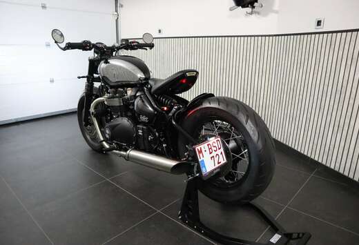 Triumph Chrome Edition