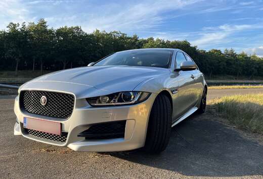 Jaguar XE 20d Aut. R-Sport Ingenium Edition