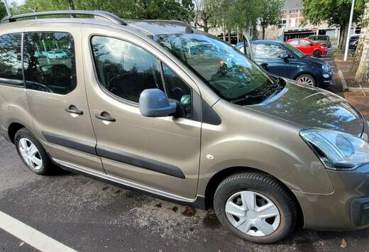 Citroen Multispace BlueHDi 100 S&S BVM5 Shine