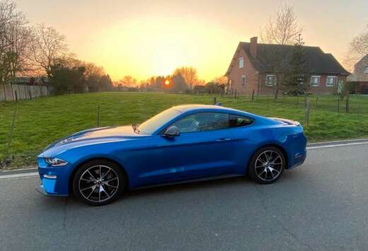 Ford Mustang 2.3 EcoBoost (EU6.2)