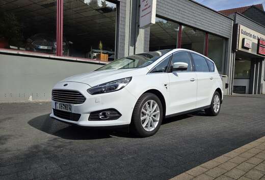 Ford S-Max 2.0 TDCi Titanium (EU6.2)