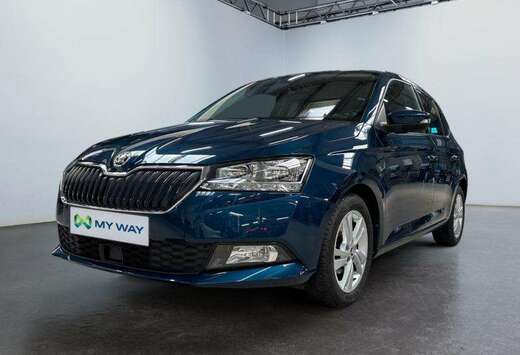 Skoda Ambition-APP/limiteur vitesse/clim/bluetooth -  ...