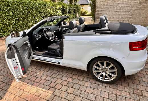 Audi A3 Cabriolet 1.6i Ambition S line