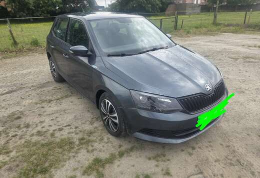 Skoda 1.0i Active