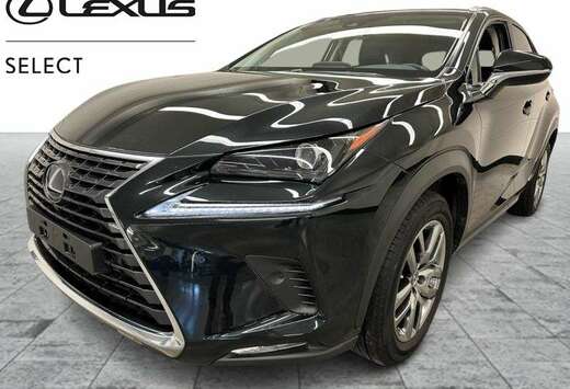 Lexus Executive + 4X4