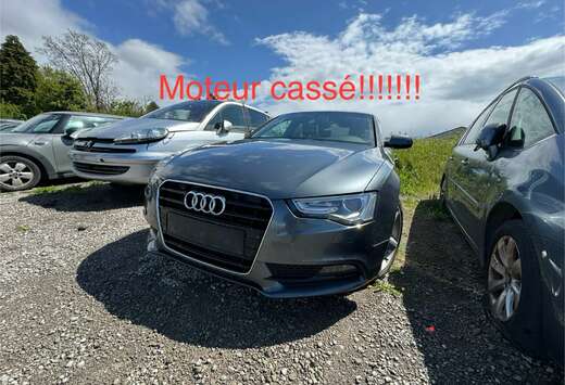 Audi 1.8 TFSI S line +lpg