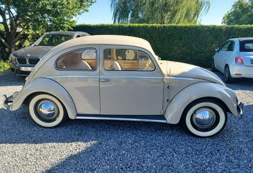 Volkswagen VW COX OVALE RESTAUREE