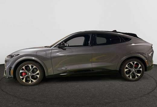 Ford 91 kWh AWD GT